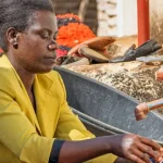 Malawi Inflation Drops
